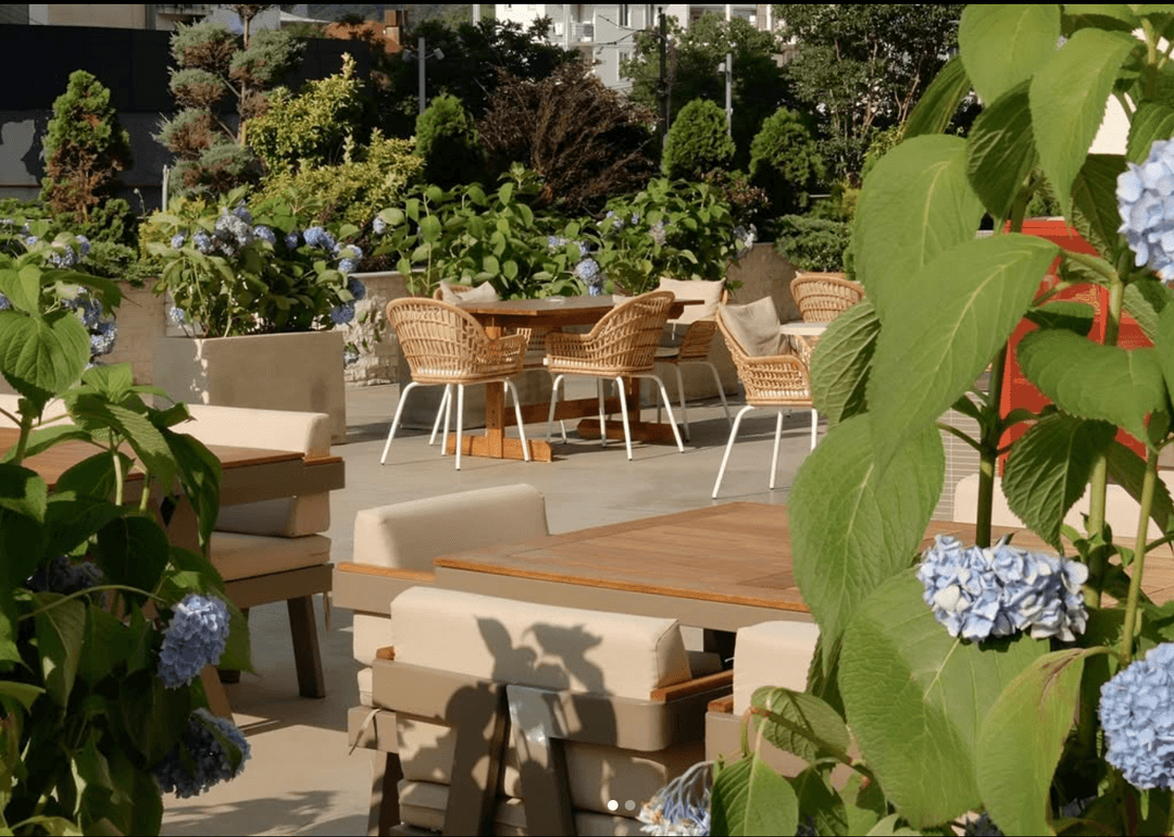 Elly restaurant Gonio